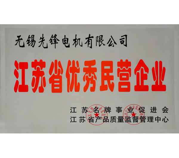 11 江蘇省優(yōu)秀民營企業(yè)榮譽證書.jpg